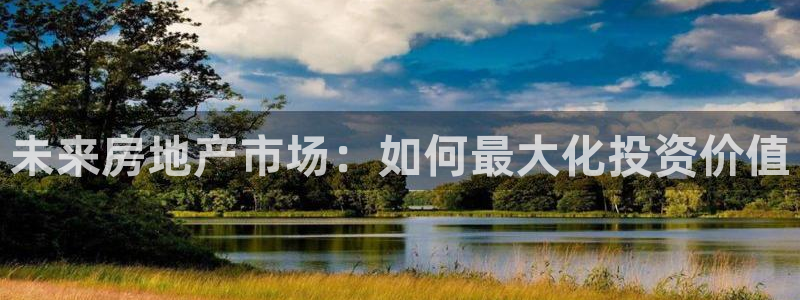 摩登7招商讨333OO：未来房地产市场：如何最大化投资价值