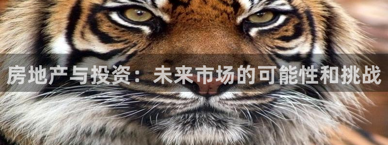 摩登5右7O667：房地产与投资：未来市场的可能性和挑战