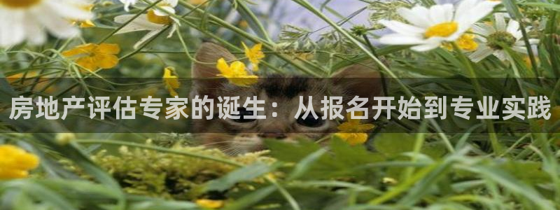 摩登6吕7O667：房地产评估专家的诞生：从报名开始到专业实