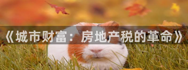 摩登7平台周7O777