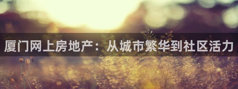 摩登7平台主管：厦门网上房地产：从城市繁华到社区活力