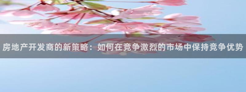 摩登6月7O667：房地产开发商的新策略：如何在竞争激烈的市