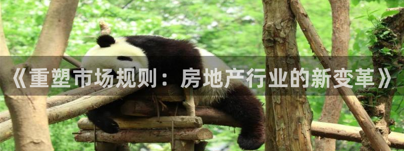 摩登7招商讨333OO：《重塑市场规则：房地产行业的新变革》