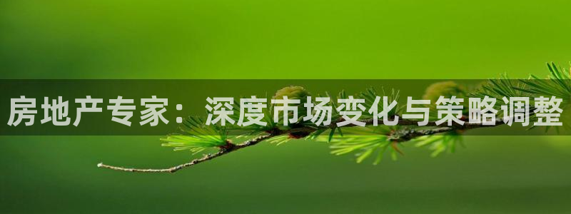 摩登7方3299O7：房地产专家：深度市场变化与策略调整