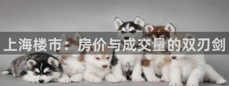 摩登7招商排名：上海楼市：房价与成交量的双刃剑