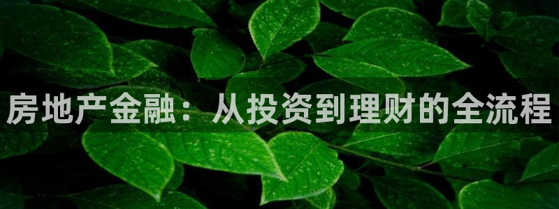 摩登7会员登录入口：房地产金融：从投资到理财的全流程