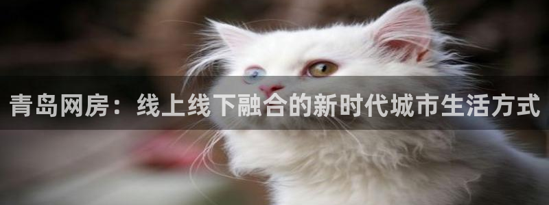 摩登7风3299O7：青岛网房：线上线下融合的新时代城市生活