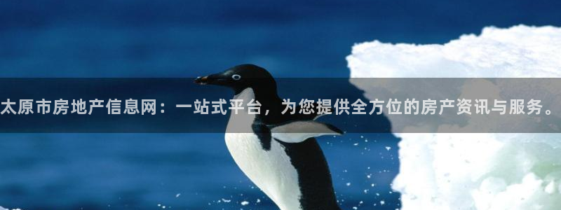摩登7平台把7O777：太原市房地产信息网：一站式平台，为您