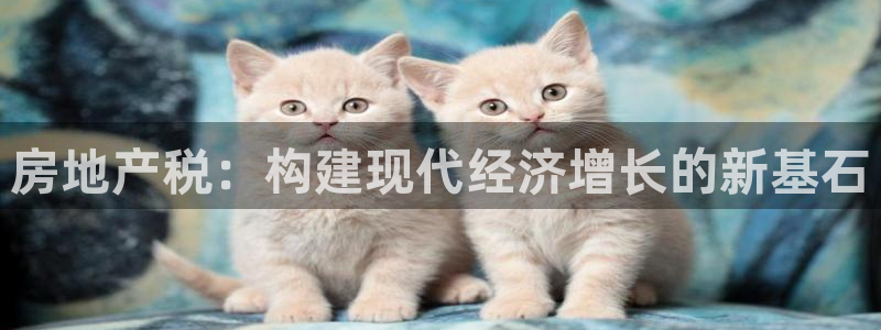 摩登4右7O667：房地产税：构建现代经济增长的新基石