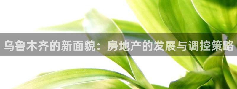 摩登7会员登录入口：乌鲁木齐的新面貌：房地产的发展与调控策略