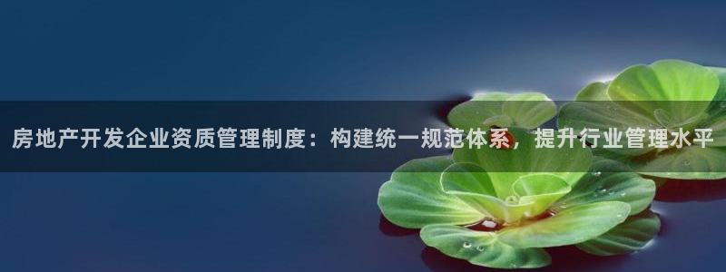 摩登7点：房地产开发企业资质管理制度：构建统一规范体系，提升