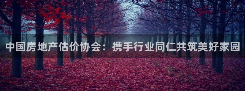 摩登7登录奥333OO：中国房地产估价协会：携手行业同仁共筑