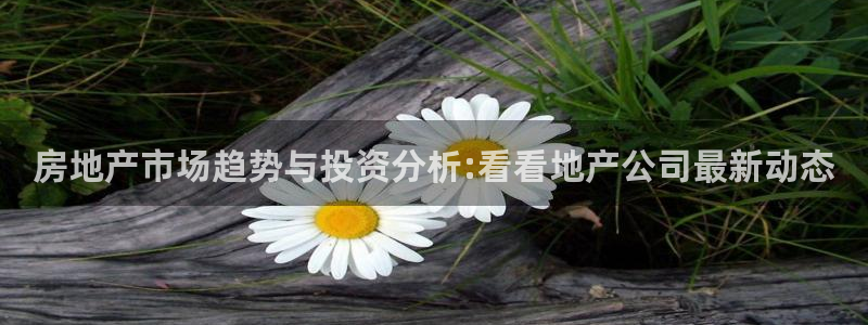 摩登7平台382223：房地产市场趋势与投资分析:看看地产公