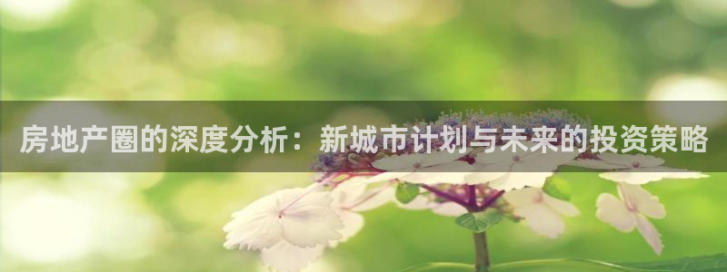 摩登7登录招333OO：房地产圈的深度分析：新城市计划与未来