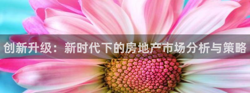 摩登7招商排名：创新升级：新时代下的房地产市场分析与策略