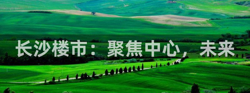 摩登天空7：长沙楼市：聚焦中心，未来