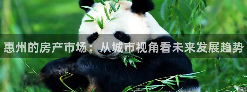 摩登7注册滴qv382223：惠州的房产市场：从城市视角看未