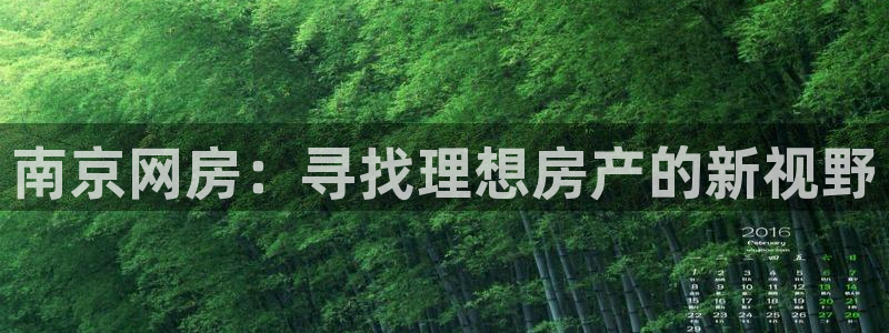 摩登7在线注册加v：南京网房：寻找理想房产的新视野