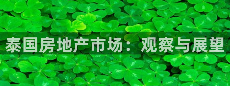 摩登7平台首页：泰国房地产市场：观察与展望