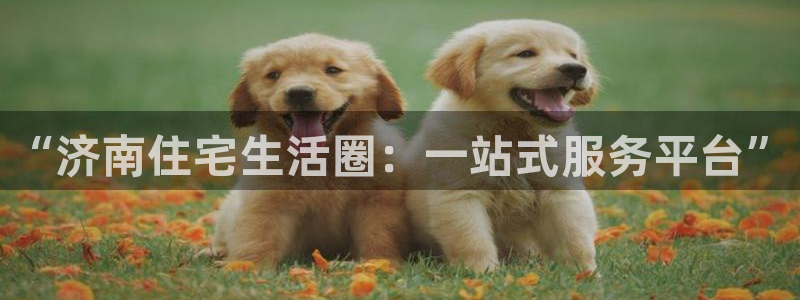 摩登3往找7O667：“济南住宅生活圈：一站式服务平台”