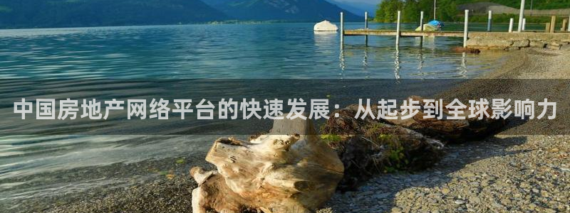 摩登7平台注册账号：中国房地产网络平台的快速发展：从起步到全