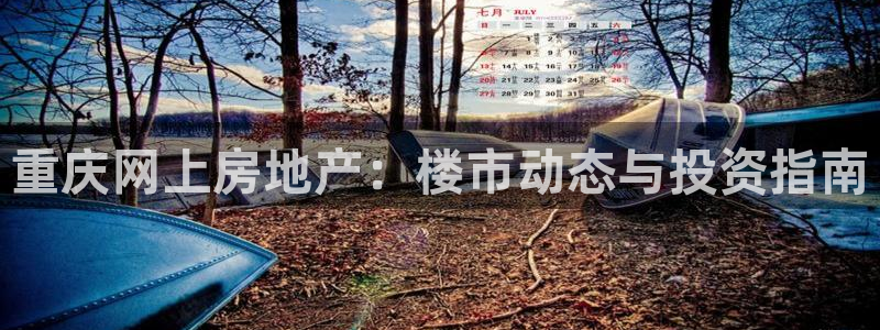 摩登7楼：重庆网上房地产：楼市动态与投资指南