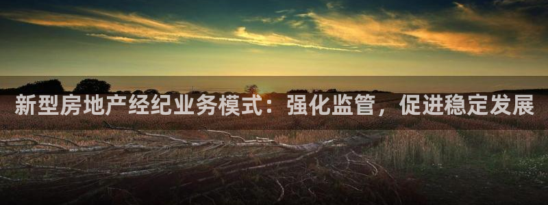 摩登系列摩登7：新型房地产经纪业务模式：强化监管，促进稳定发
