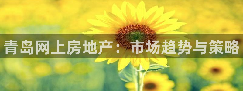 摩登5天7O667：青岛网上房地产：市场趋势与策略