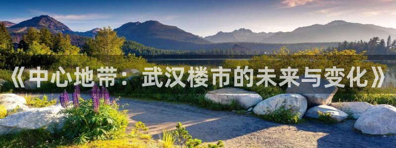 国际版摩登世界7：《中心地带：武汉楼市的未来与变化》