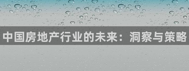 摩登7链接：中国房地产行业的未来：洞察与策略