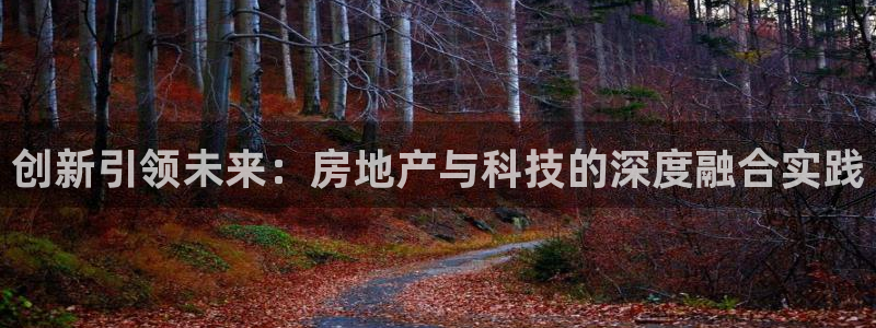 摩登7网站排名：创新引领未来：房地产与科技的深度融合实践