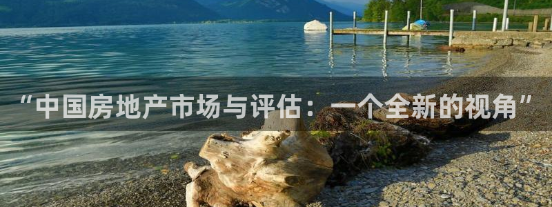 摩登7招商讨333OO：“中国房地产市场与评估：一个全新的视