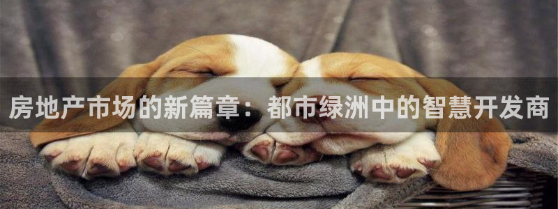 摩登口碑7：房地产市场的新篇章：都市绿洲中的智慧开发商