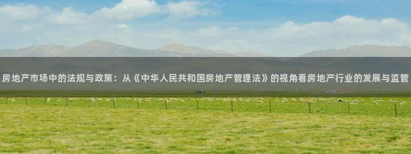 国际版摩登世界7：房地产市场中的法规与政策：从《中华人民共和