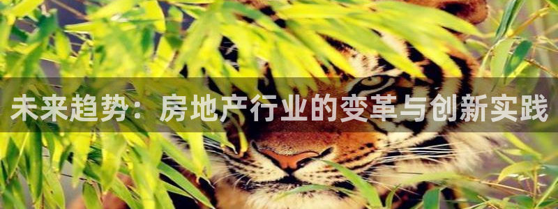 摩登7平台注册账号：未来趋势：房地产行业的变革与创新实践