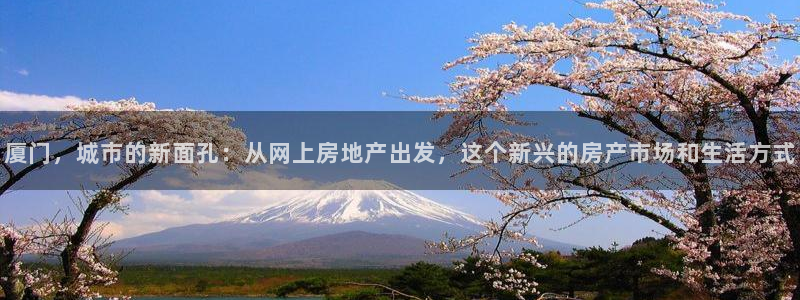 摩登招商7快22650：厦门，城市的新面孔：从网上房地产出发